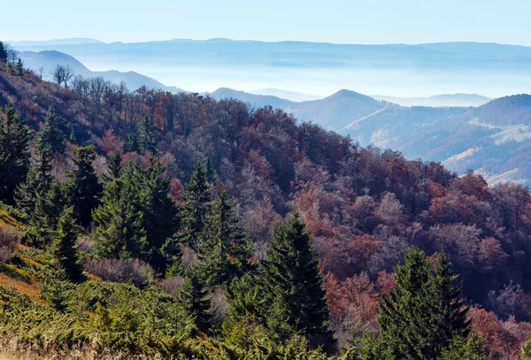 Nebbia in autunno Carpazi . — Foto Stock