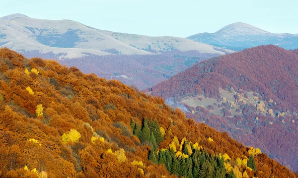 Zlatý podzim v horských. — Stock fotografie
