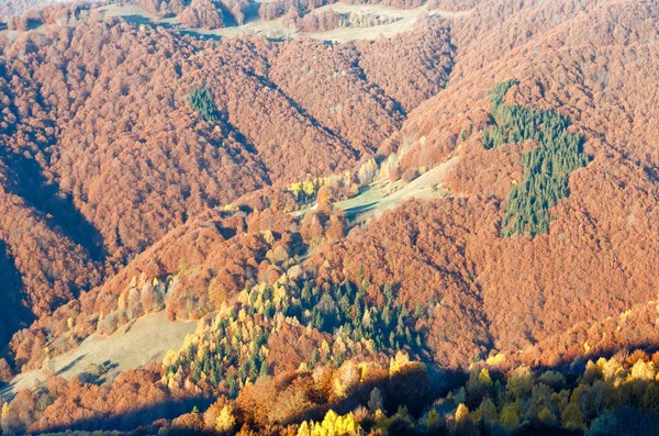 Autunno d'oro in montagna . — Foto Stock