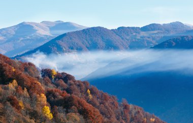 Renkli orman ile sonbahar dağ yamacı.