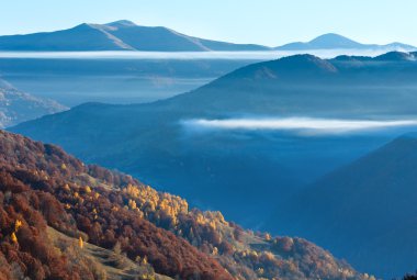 Renkli orman ile sonbahar dağ yamacı.