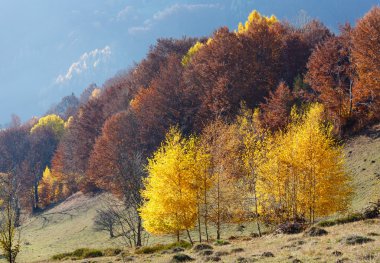 Dağda altın sonbahar.