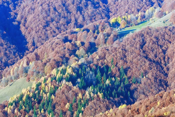 Goldener Herbst in den Bergen. — Stockfoto