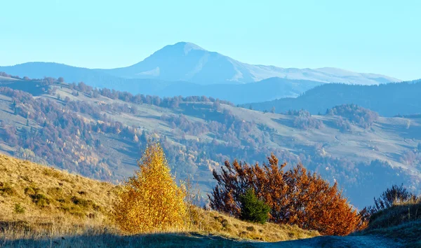 Gyllene höst i berg. — Stockfoto