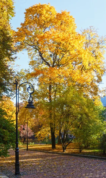 Herfst stadspark. — Stockfoto