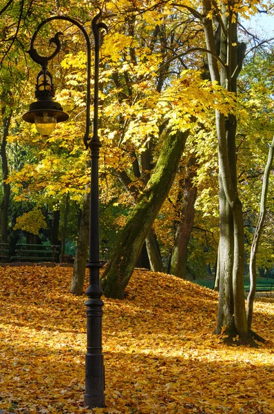 Stadtpark im Herbst. — Stockfoto