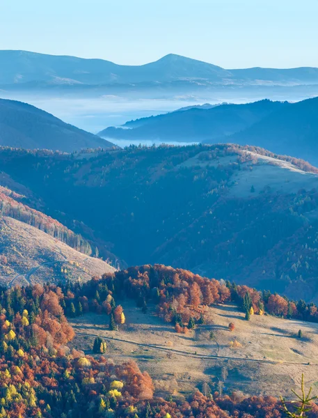 Színes fák őszi Kárpát lejtőn. — Stock Fotó