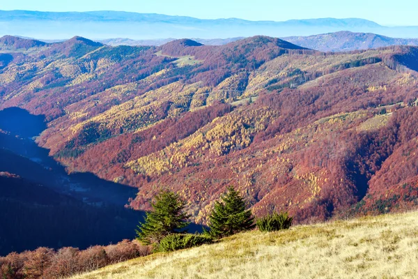 Sonbahar renkli dağ yamaçlarında. — Stok fotoğraf