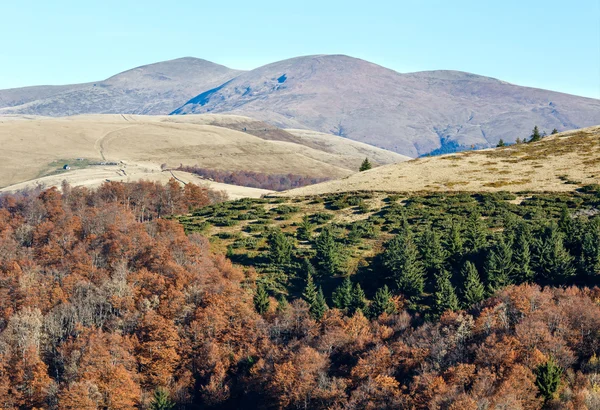 Blick auf die Herbstkarpaten. — Stockfoto