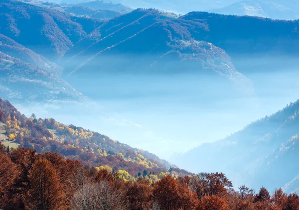 Mattina nebbia in autunno Carpazi . — Foto Stock