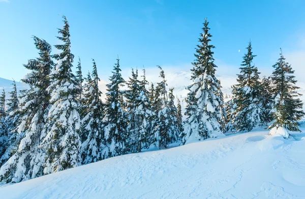 Sabah kış dağ manzarası (Karpat). — Stok fotoğraf