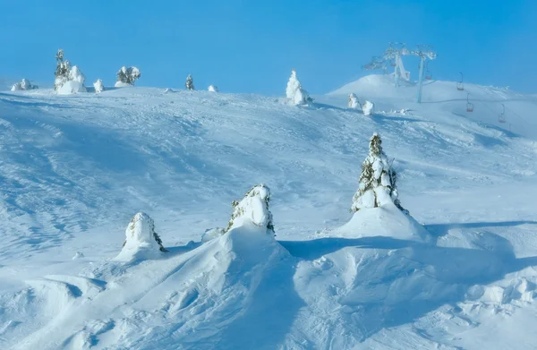 Snowy jodły na wzgórze zima. — Zdjęcie stockowe