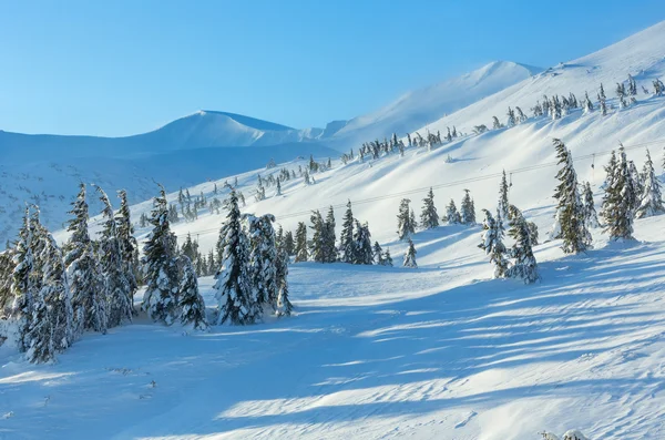 Sapins neigeux glacés sur la colline d'hiver . — Photo