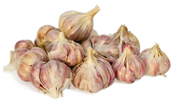 Garlics izolované na bílém (s stíny). — Stock fotografie