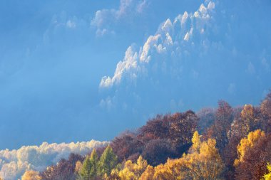 Dağda altın sonbahar.