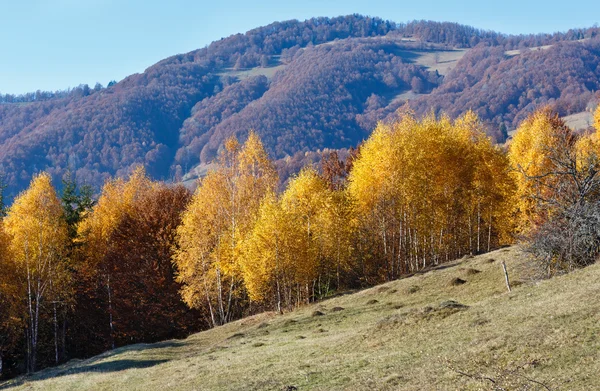 Zlatý podzim v horských. — Stock fotografie