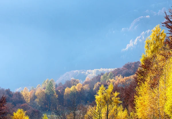 Dağda altın sonbahar. — Stok fotoğraf