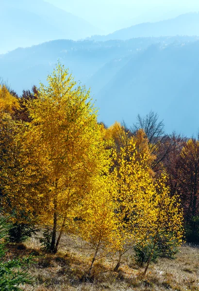 Automne doré en montagne . — Photo