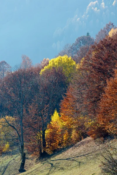 Dağda altın sonbahar. — Stok fotoğraf