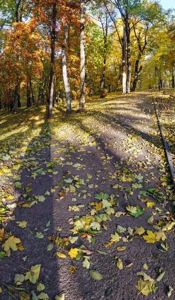 Stadtpark im Herbst. — Stockfoto