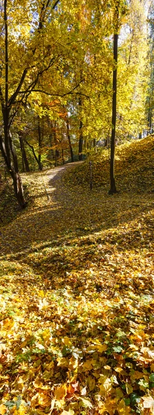 Parco urbano autunnale. — Foto Stock