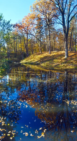 Lagoa no parque de outono . — Fotografia de Stock