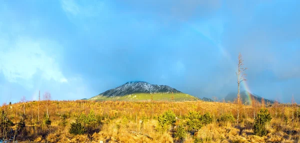 Arco-íris colorido na montanha . — Fotografia de Stock