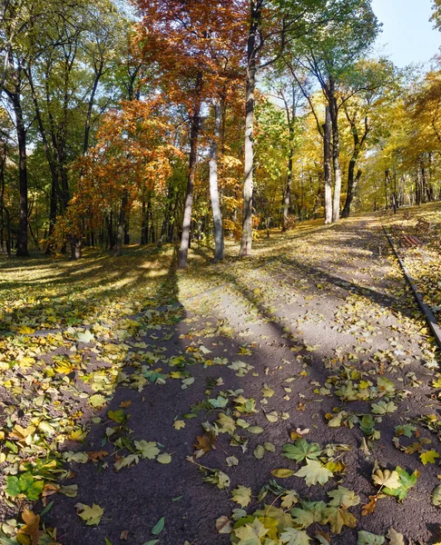 Podzimní městský park. — Stock fotografie