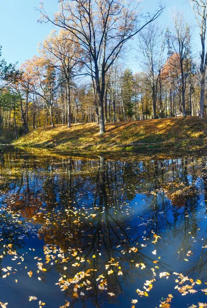 Vijver in herfstpark. — Stockfoto