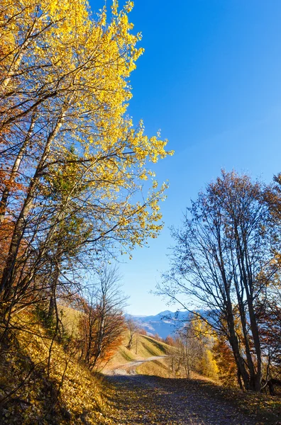 Rural road and golden autumn in mountain. — Stock Photo, Image