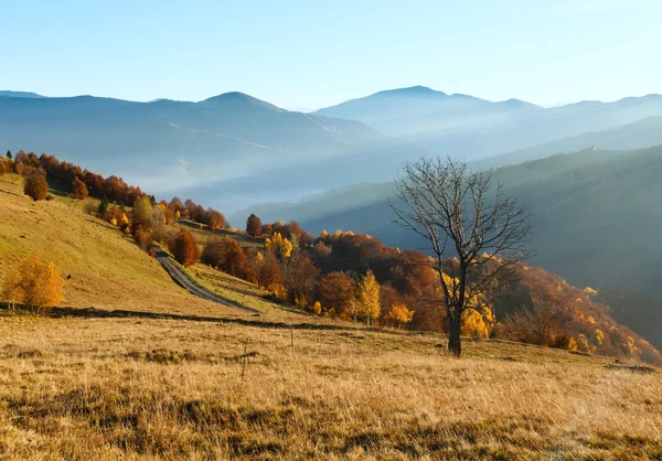 Sonbahar dağ kırsal yol. — Stok fotoğraf