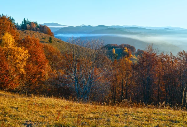 Ochtend mist in de herfst Karpaten. — Stockfoto