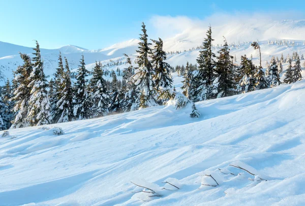 Paisaje de montaña de invierno por la mañana (Cárpatos ). — Foto de Stock