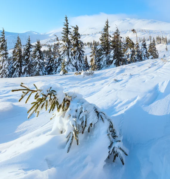 Manhã inverno paisagem de montanha (Cárpatos ). — Fotografia de Stock