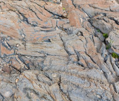 Kaya parçası yakın çekim. 