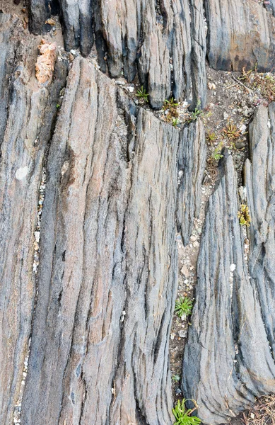 Kaya parçası yakın çekim. — Stok fotoğraf