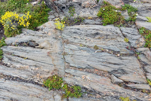 Onderdeel van rock close-up. — Stockfoto