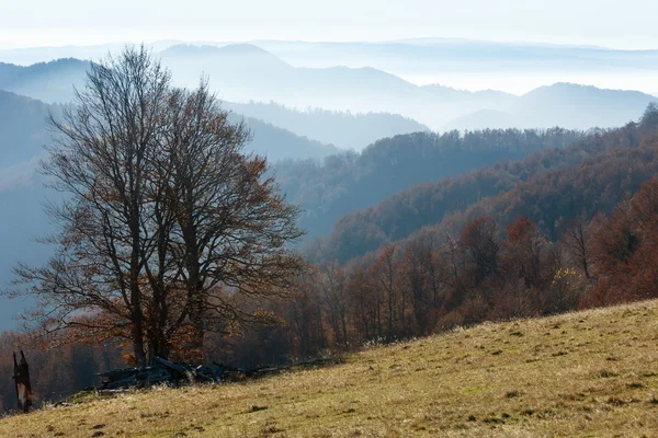 Podzimní mlhavá horská krajina. — Stock fotografie