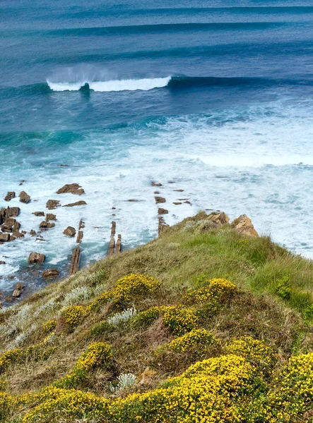 Blossoming ocean shore. — Stock Photo, Image