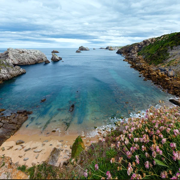 Paisaje de costa oceánica floreciente . — Foto de Stock