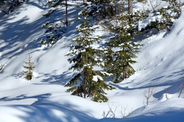 Kış Dağı Manzarası.