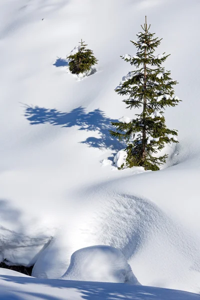 Paysage de montagne d'hiver. — Photo