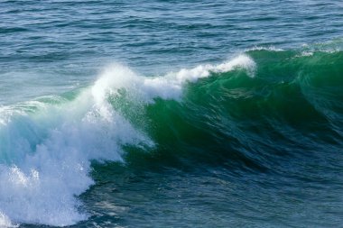 Deniz surf dalgası