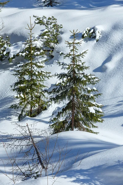 Vinterbergslandskap. — Stockfoto