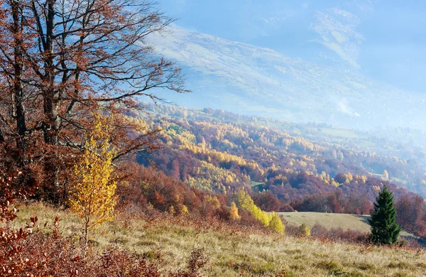 Gyllene höst i berg. — Stockfoto