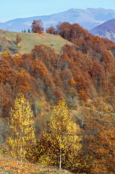 Arany ősz-hegy. — Stock Fotó