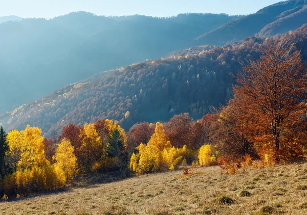 Outono na montanha . — Fotografia de Stock