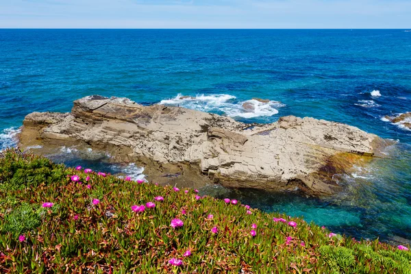 Kvetoucí pobřeží Atlantického oceánu (Španělsko). — Stock fotografie