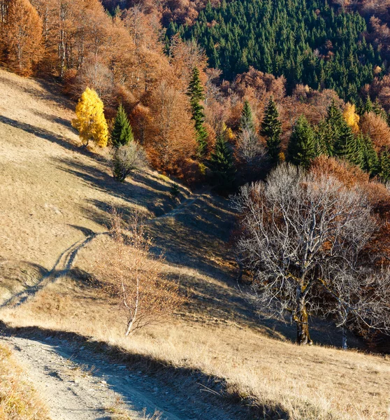 Rural road on autumn  mountain slope. — Stock Photo, Image