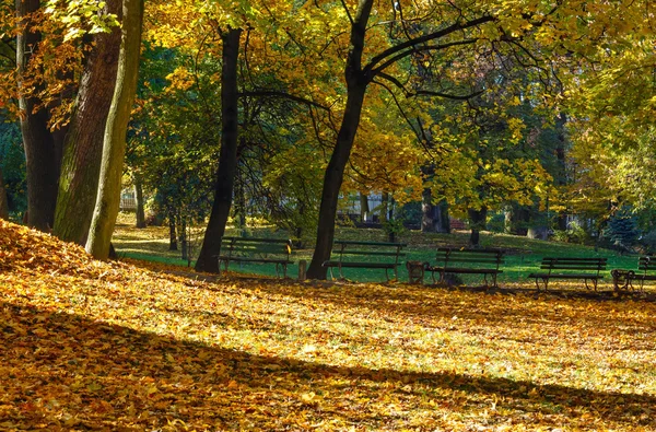 Parco urbano autunnale. — Foto Stock